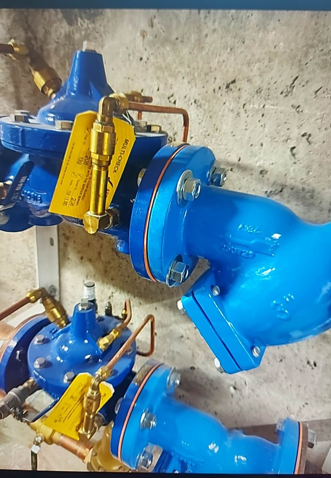 Backflow preventer